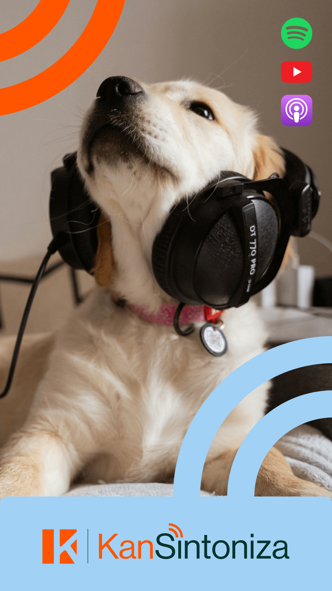 Thumb image of a dog wearing headphones